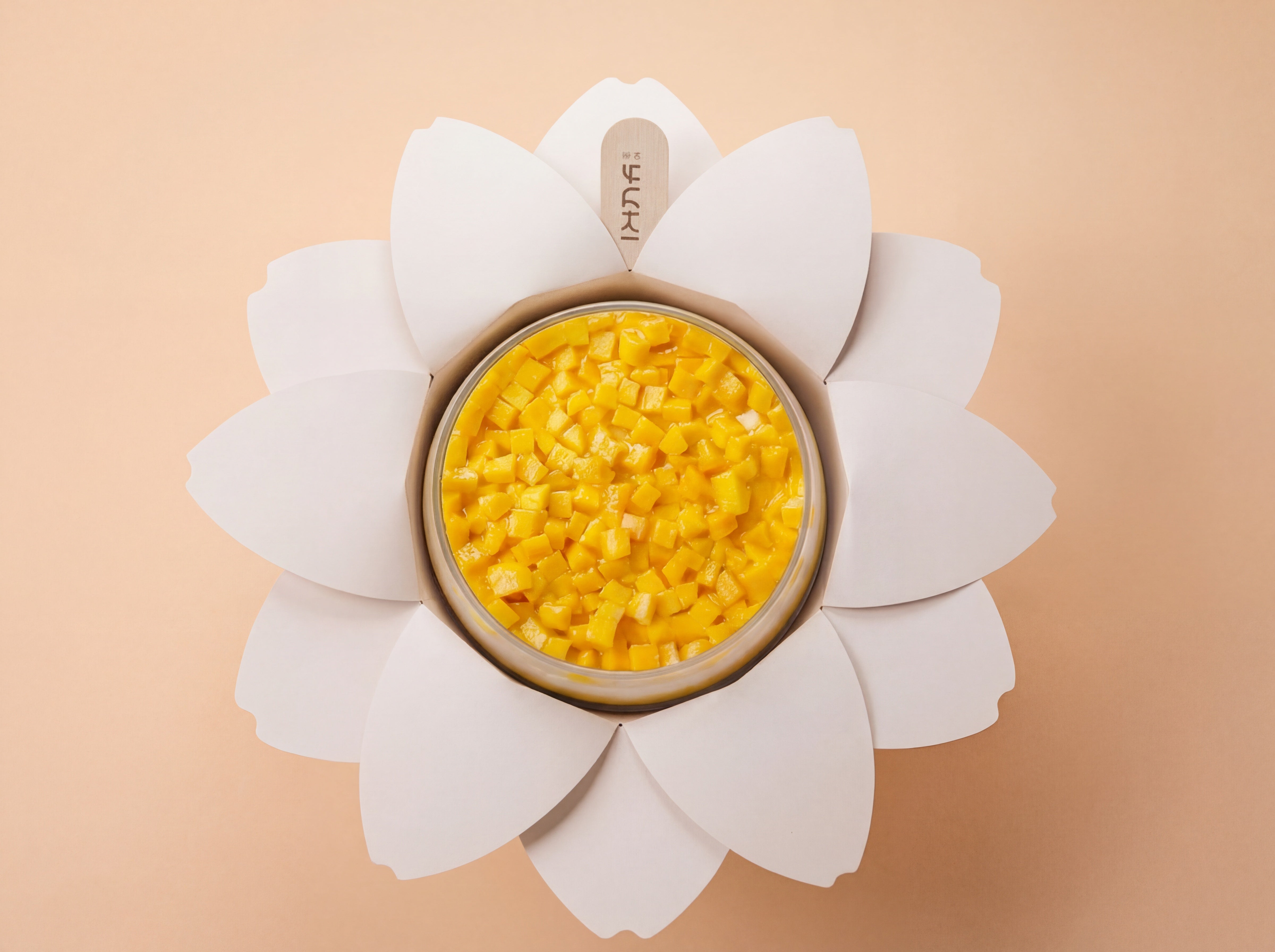 Mango Cake